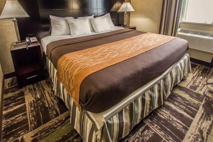 Rodeway Inn Bronx Zoo