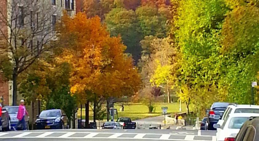 Cozy Quaint Room in Manhattan Apartment Share