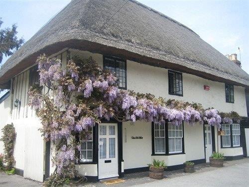 The Old Ship Bed & Breakfast
