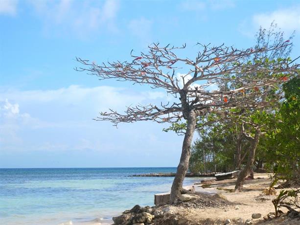 C View Beach Resort Utila The Best Beaches In World C View Beach Resort Utila Compare Deals