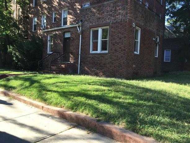 Huge & Sunny 1BD Apartment