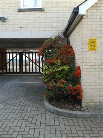 Rose Corner