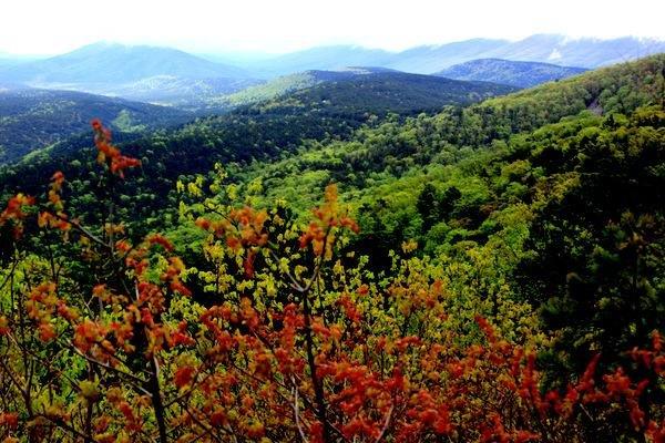 Green Country Inn Heavener