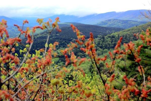 Green Country Inn Heavener