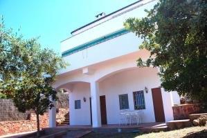 Castellvi - CCS 12785