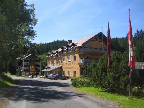 Hotel Ladenmühle Altenberg