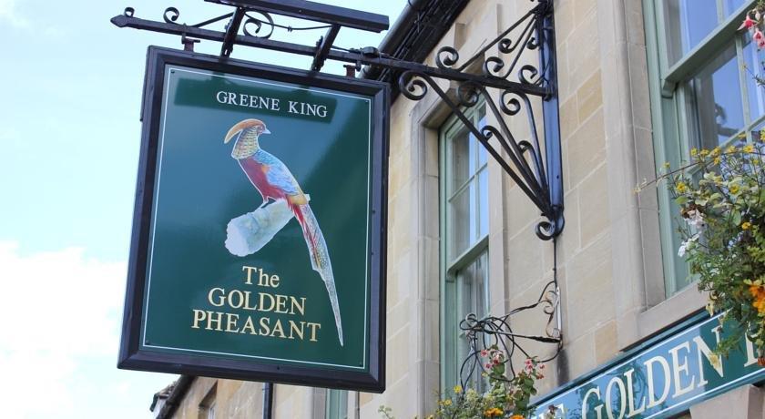 Golden Pheasant