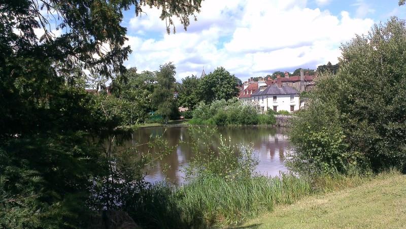 Homestay in Midhurst near Cowdray House
