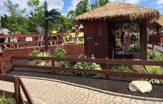 Cinderella S Suites Sylvan Beach Compare Deals
