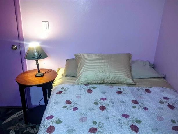 Brooklyn's Best Apartment