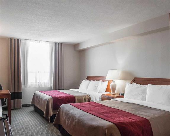 Comfort Hotel Airport North Toronto Compare Deals