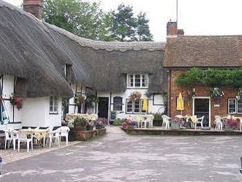 The Royal Oak Bed and Breakfast Marlborough England