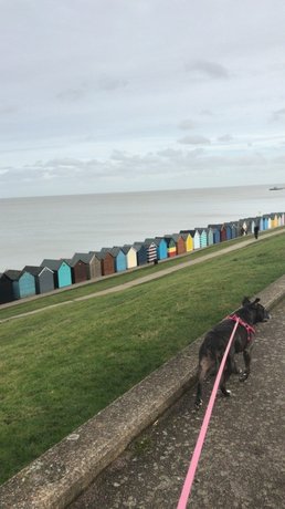 Homestay in Herne Bay near Neptune's Arm