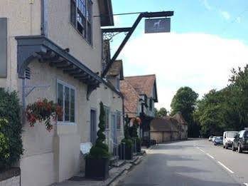Dog Inn At Wingham Hotel Canterbury