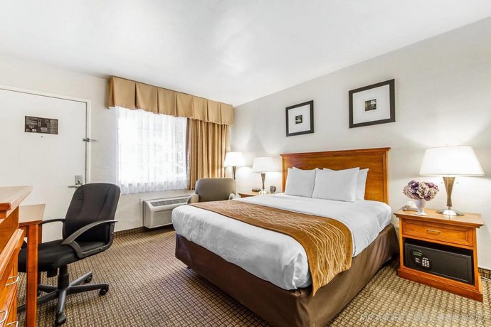 Comfort Inn Monterey By The Sea Compare Deals