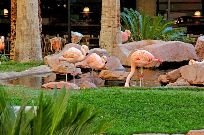 Flamingo Grand Hotel Las Vegas