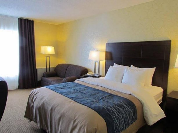 Comfort Inn Trois Rivieres Compare Deals
