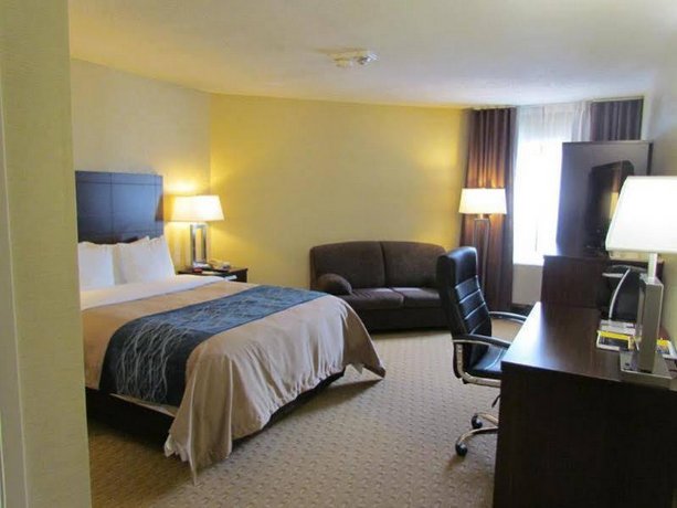 Comfort Inn Trois Rivieres Compare Deals