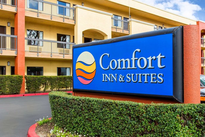 Comfort Inn And Suites San Francisco Airport North South San