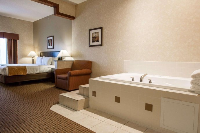 Comfort Suites Grand Rapids North Comstock Park