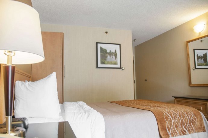 Comfort Inn Brossard Compare Deals