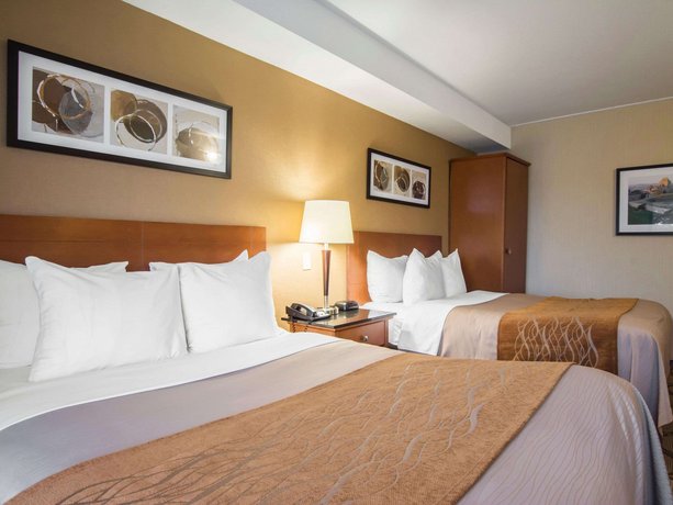 Comfort Inn Airport East Quebec Quebec City Compare Deals