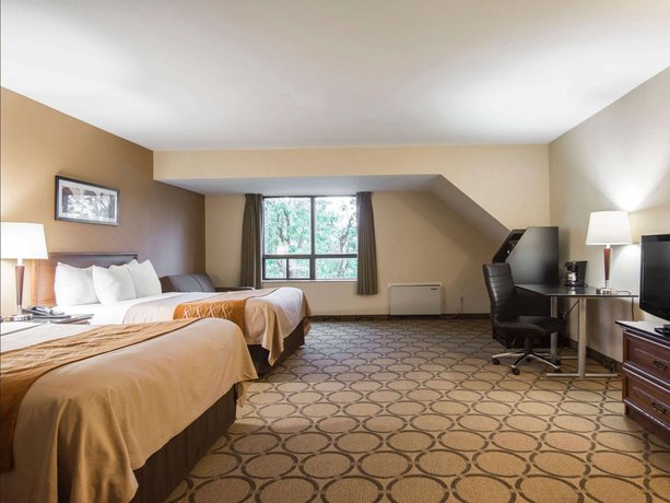 Comfort Inn Airport East Quebec Quebec City Compare Deals