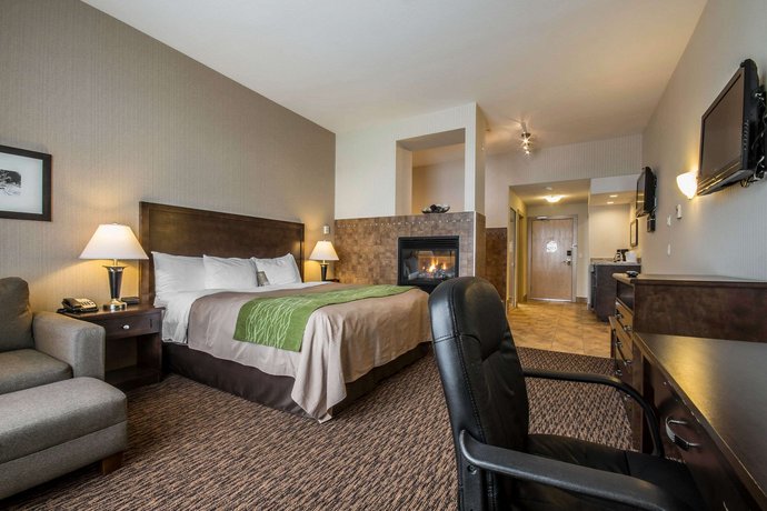 Comfort Inn Suites Surrey Compare Deals