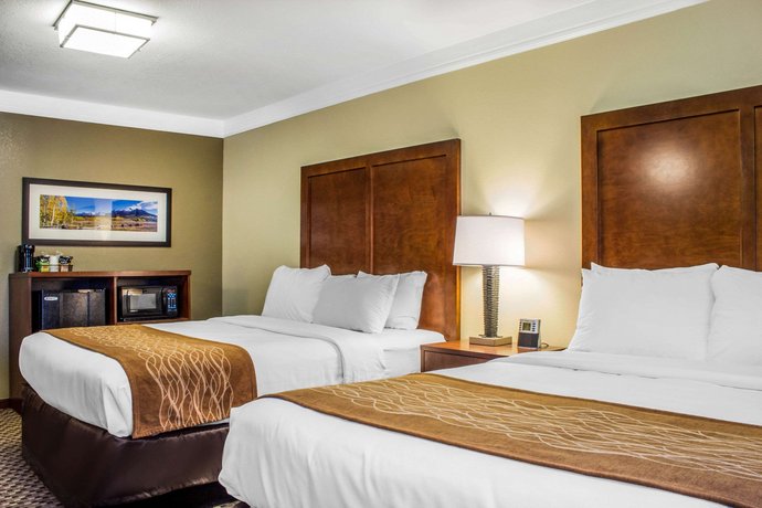 Comfort Inn Suites Durango Compare Deals