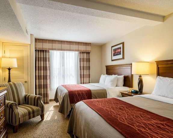 Comfort Inn Suites Dover Compare Deals
