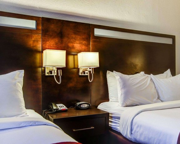 Comfort Suites Gwinnett Medical Center Area Lawrenceville