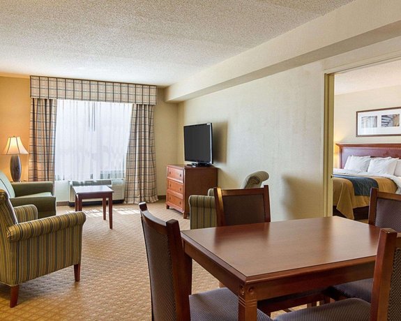 Comfort Inn Suites Norfolk Airport South Virginia Virginia