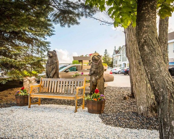 Comfort Inn Suites At Maplewood Montpelier Compare Deals