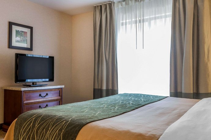 Comfort Inn Suites South Burlington Compare Deals