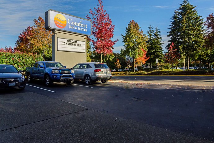 Comfort Inn Suites Seatac Seattle Compare Deals