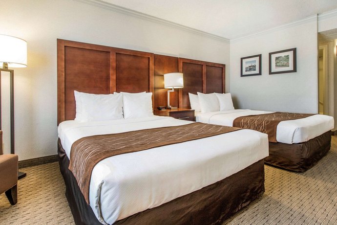 Comfort Inn By The Bay Hotel San Francisco Compare Deals