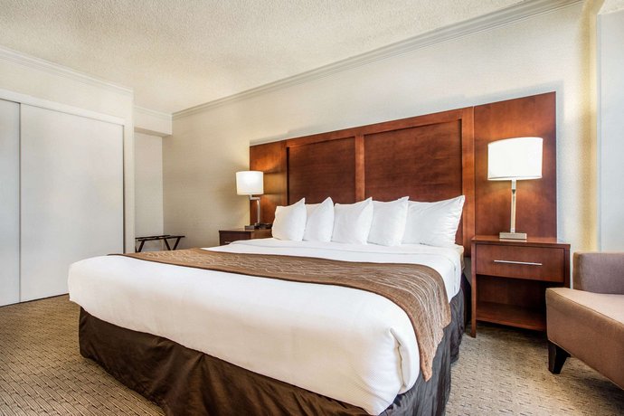 Comfort Inn By The Bay Hotel San Francisco Compare Deals