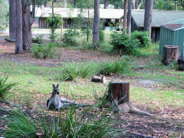 Woodbine Park Eco Cabins Bournda National Park Compare Deals