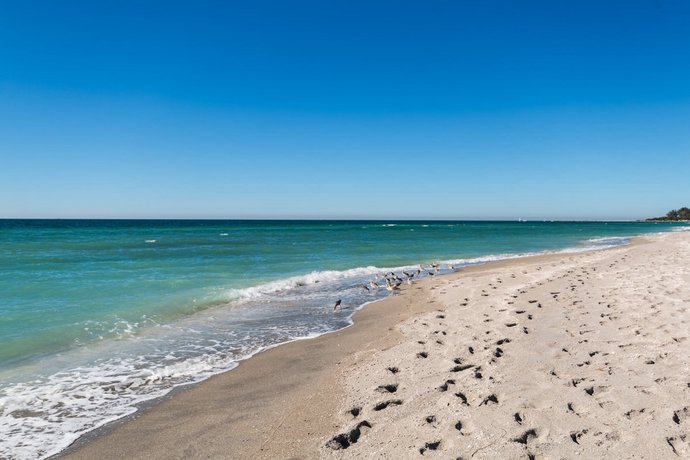 Inn At The Beach Venice Florida Reviews Inn At The Beach Venice Florida Reviews