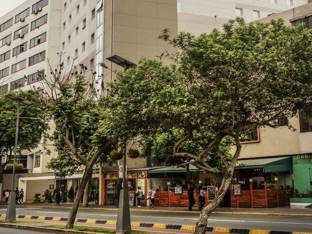 이비스 라르코 미라플로레스, Ibis Larco Miraflores