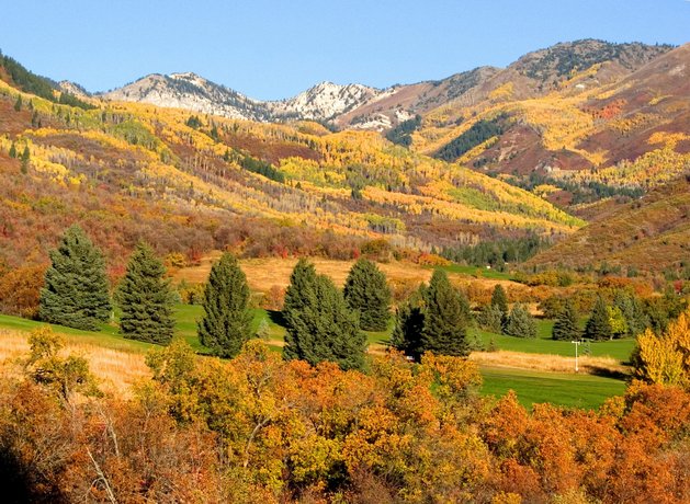 Homestead Resort Midway Utah Compare Deals Homestead Resort Midway Utah Compare Deals