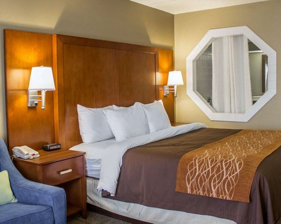 Comfort Inn Alliance Compare Deals