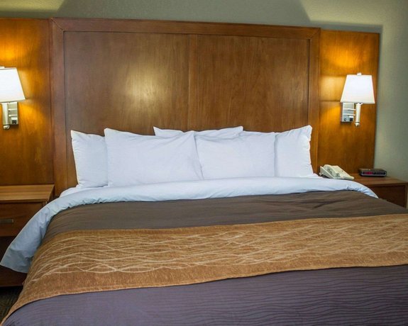 Comfort Inn Alliance Compare Deals