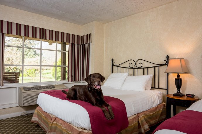 The Village Green Pet Friendly Hotel Cottage Grove Compare Deals