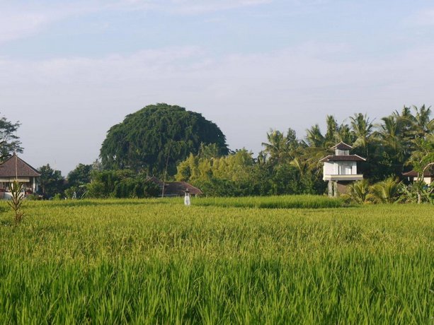 Rumah Dadong Ubud Compare Deals - 