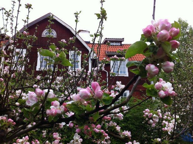 Stockholm B B Cottage Nacka Compare Deals