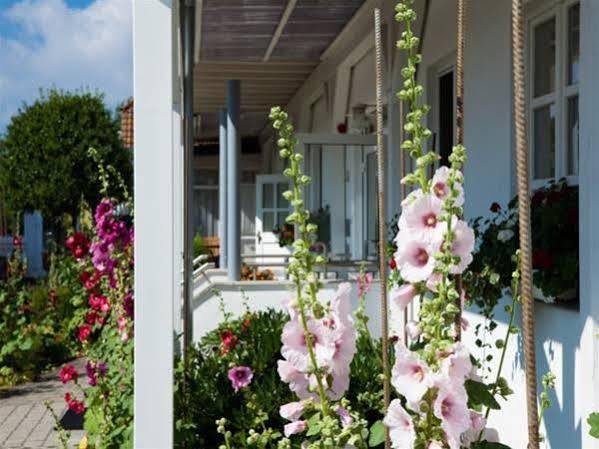 Haus Am Meer Ahrenshoop Compare Deals
