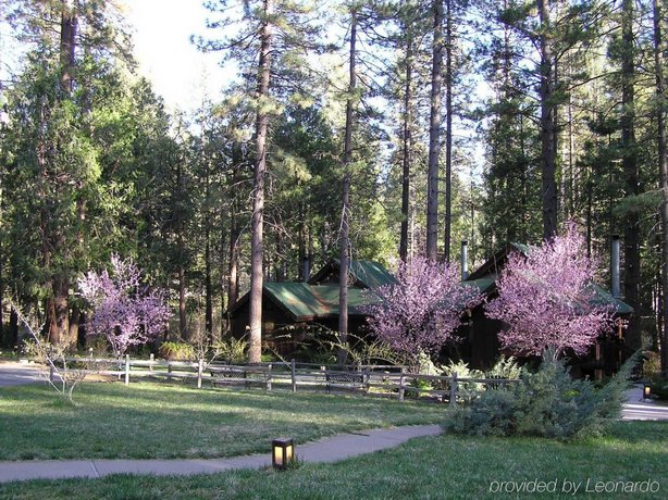 Quiet Creek Inn Idyllwild