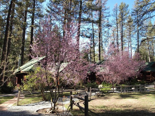 Quiet Creek Inn Idyllwild