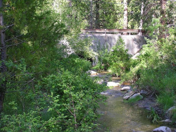 Quiet Creek Inn Idyllwild